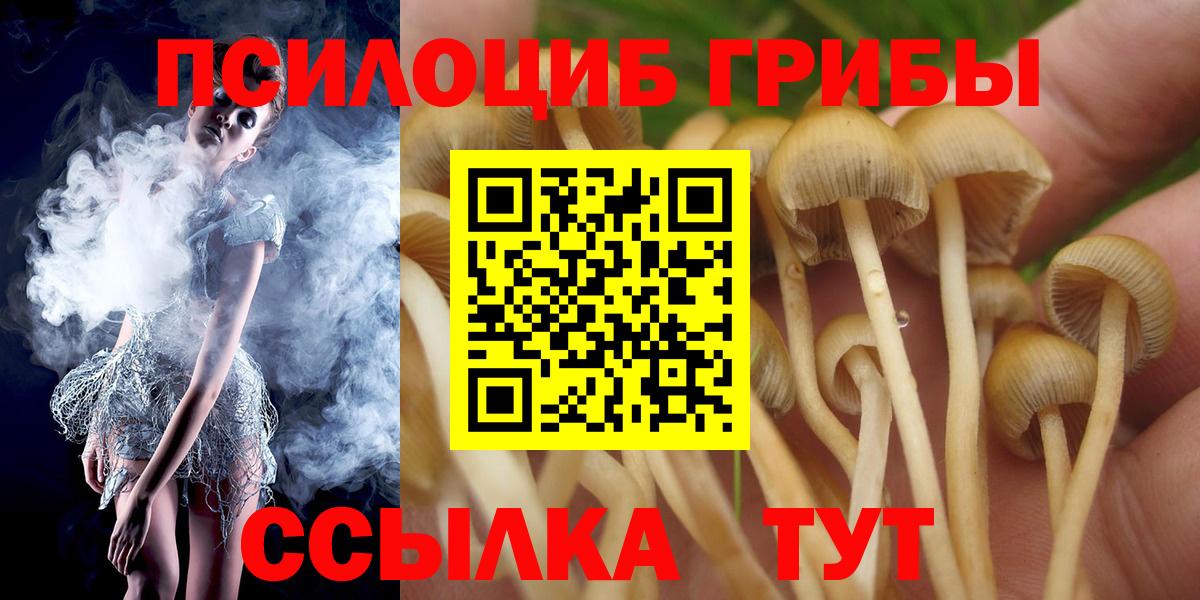 Галлюциногенные грибы Cubensis  Вход с VPN  Нижний Тагил 